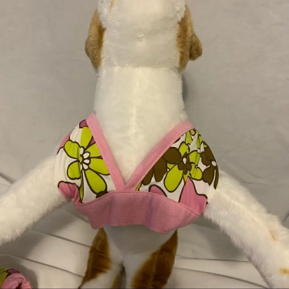 Casual Canine casual canine